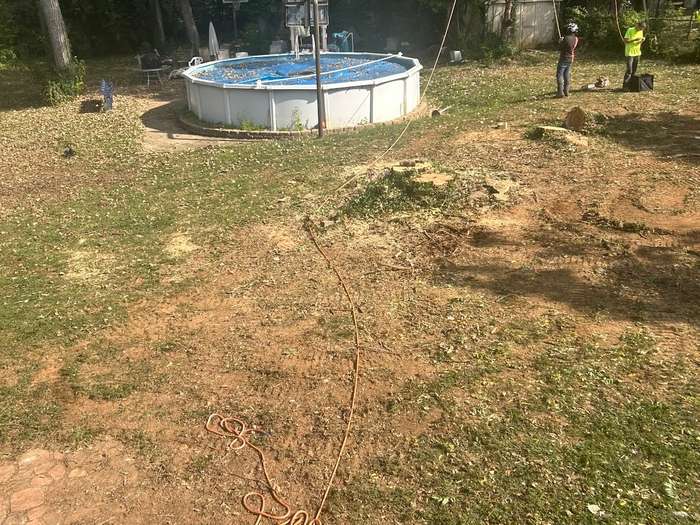 The same yard with the stump gone and the ground raked level beside the pool.