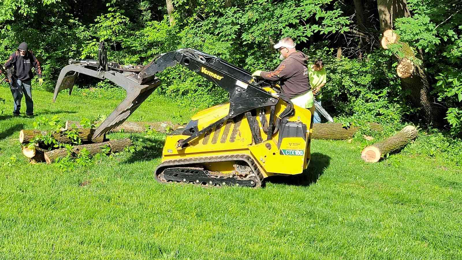 Maxwell's crew clearing cut logs from a lawn with a tracked mini-loader, beside a line of trees.