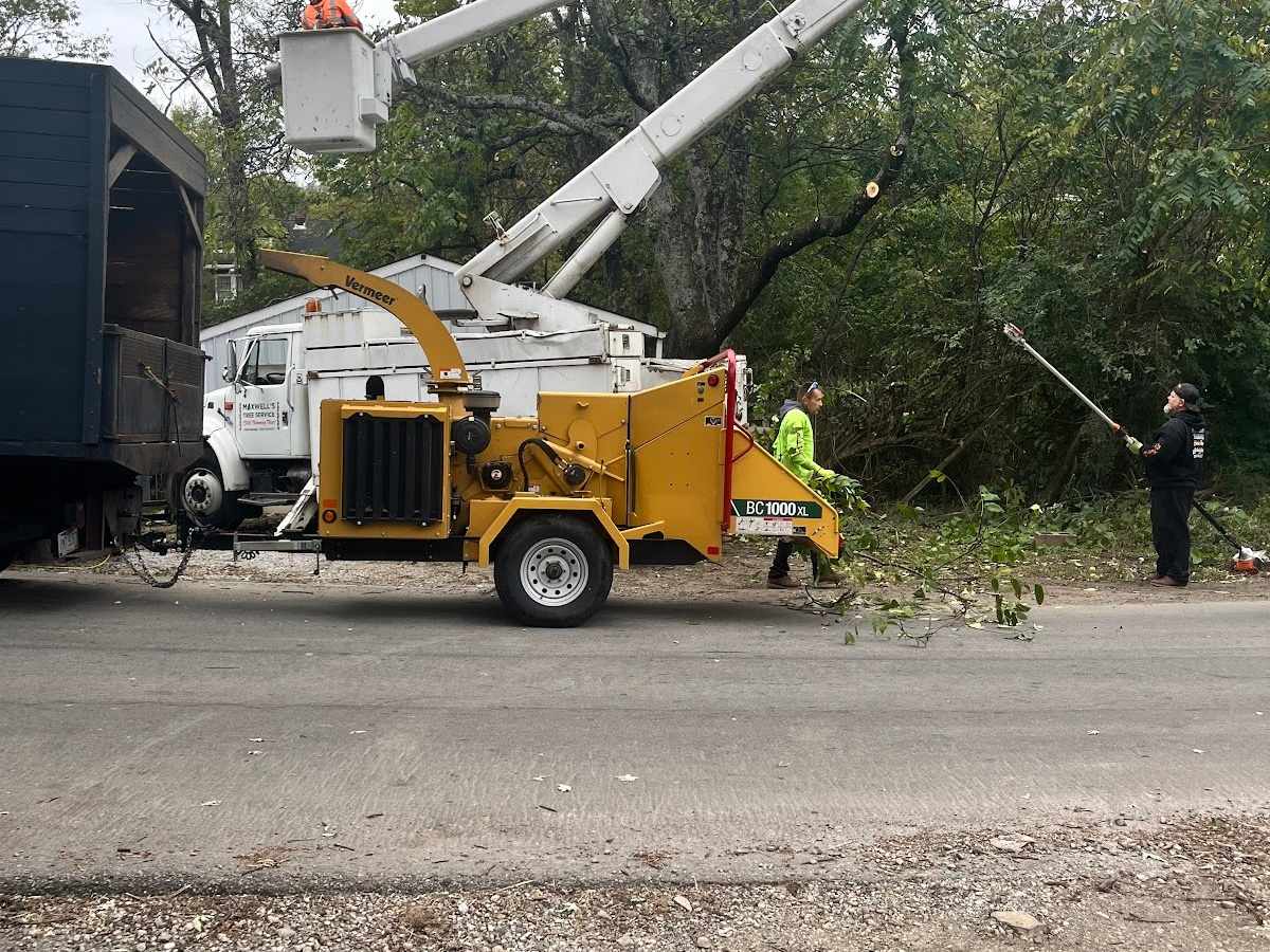 A white bucket truck raised into a roadside tree beside a yellow wood chipper, with crew clearing cut limbs.