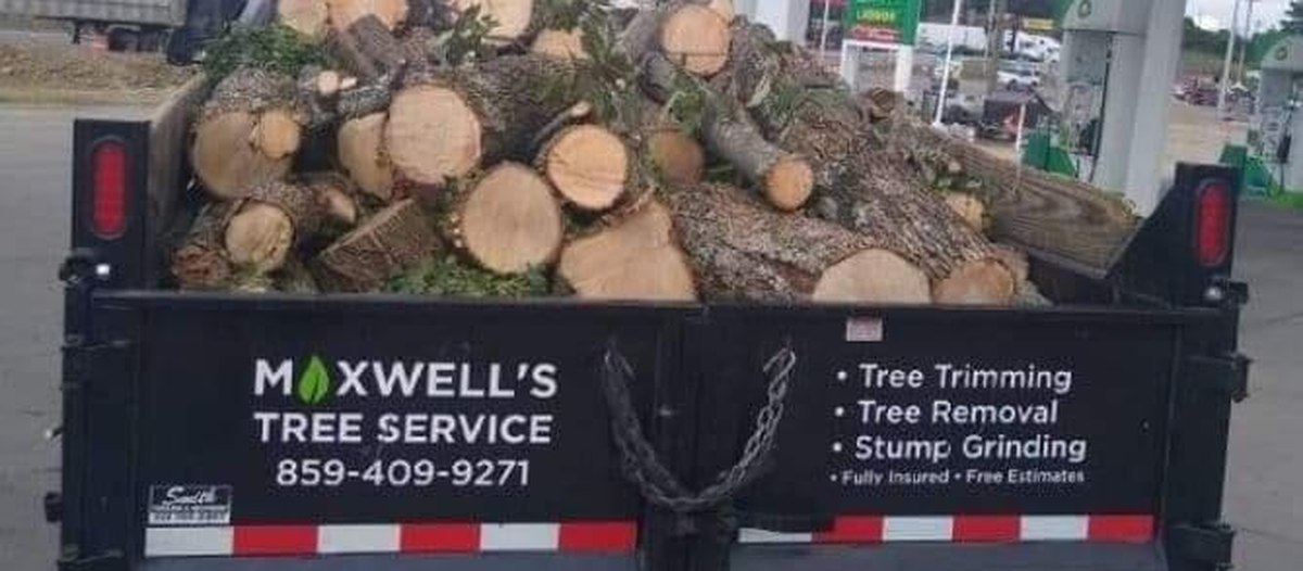 Maxwell's black dump trailer loaded with cut logs, lettered with the leaf logo, phone number and service list.